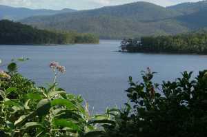 HINZE DAM 2006(020)